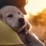 Un gran amor de cuatro patas