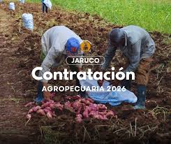 Instan en Jaruco a aumentar control durante contratación agropecuaria 2026