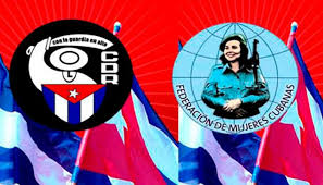 Participan organizaciones de masas en San José de las Lajas en tareas de impacto local