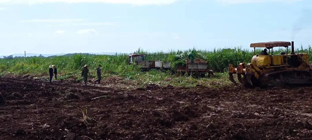 Incorporan en Jaruco la construcción de un Parque Fotovoltaico. Foto: Radio Jaruco