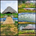 Un parque natural para disfrutar en familia