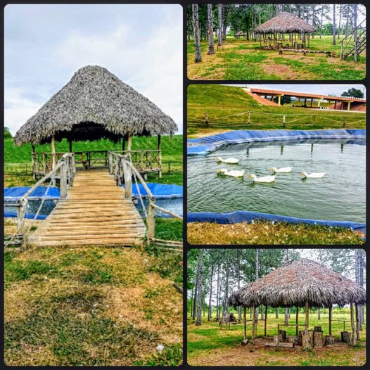 Un parque natural para disfrutar en familia