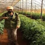 Aplican ciencia campesinos lajeros