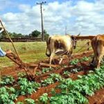 Aporta unidad entre científicos y productores