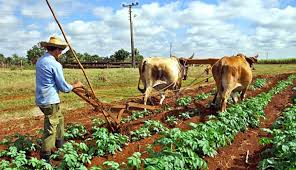 Aporta unidad entre científicos y productores