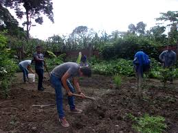 Potencian formación académica. Foto: Radio Camoa