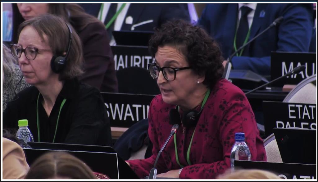 Cuba reafirma defensa de los derechos del pueblo palestino. Foto: Prensa Latina