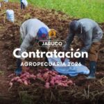 Continúa en Jaruco proceso de contratación agropecuaria 2026