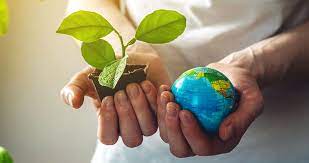 Cuidar la naturaleza: un deber en común