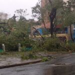 Mayabeque aporta a la recuperación en la región oriental