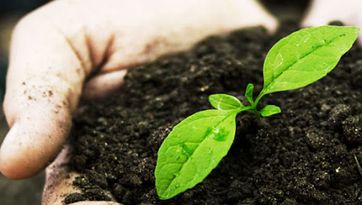 Destaca producción de bioplaguicidas en Mayabeque. Foto: Archivo