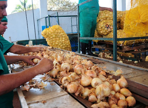 En su donativo figura la Pasta de Cebolla, de ajo y otros productos. Foto: Archivo