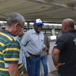 Evaluó Salvador Valdés Mesa programa de recuperación porcina en Mayabeque (+Galería)