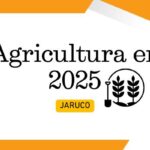 Resumen del sector de la agricultura en Jaruco 2025
