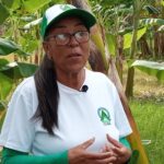 Festeja el Servicio Estatal Forestal