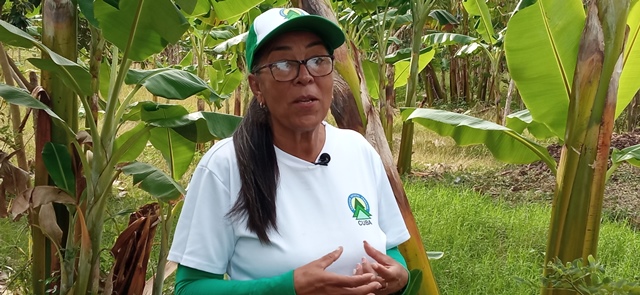 Festeja el Servicio Estatal Forestal