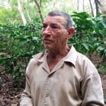Fomentan programa cafetalero en finca lajera