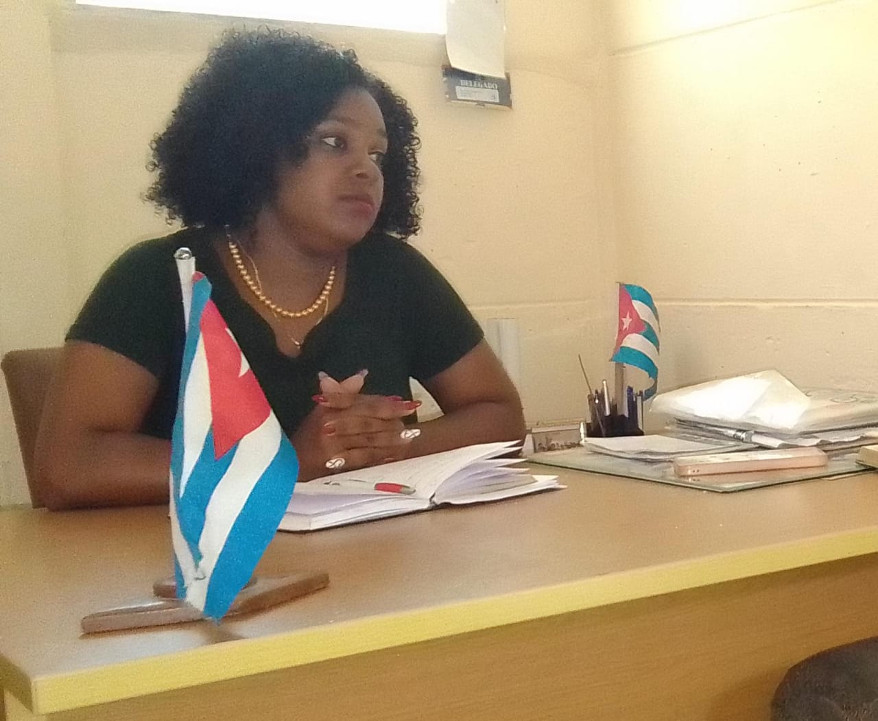 Primera Secretaria de la Uni&oacute;n de J&oacute;venes Comunistas (UJC) en Mayabeque, Gleidys Mill&aacute;n Blanco. Foto: Archivo