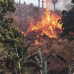 Reforzar la vigilancia previene los incendios forestales