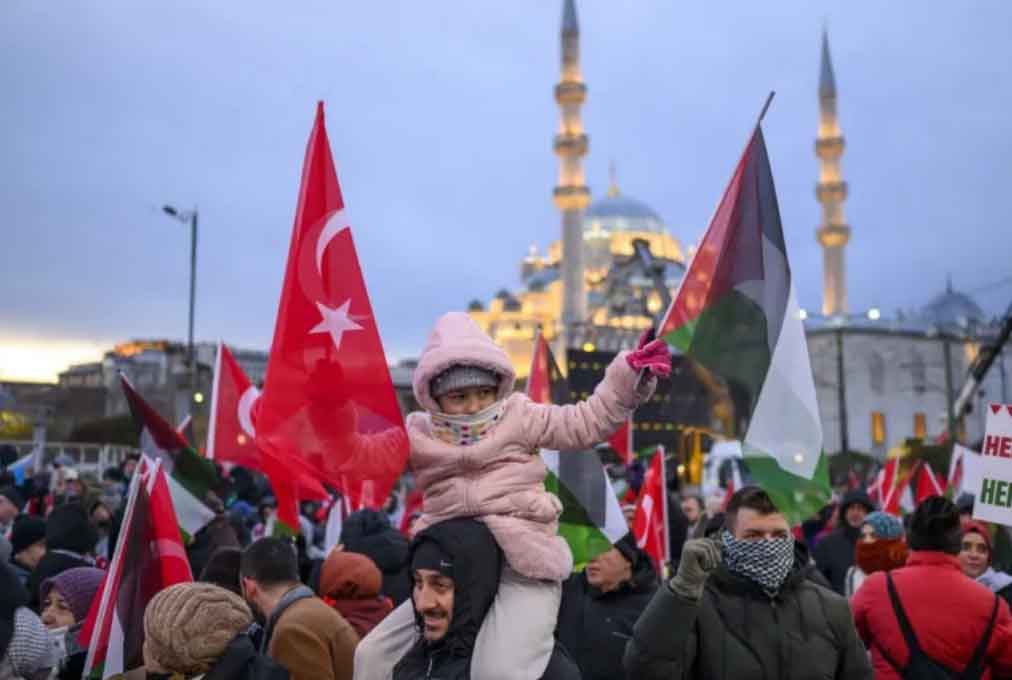 Masiva marcha de solidaridad con Palestina culmina en Estambul