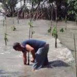 En busca de un futuro sostenible. Foto: Archivo