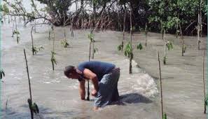 En busca de un futuro sostenible. Foto: Archivo
