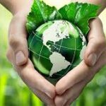 Impacto financiero y clim&aacute;tico a trav&eacute;s de proyecto medioambiental