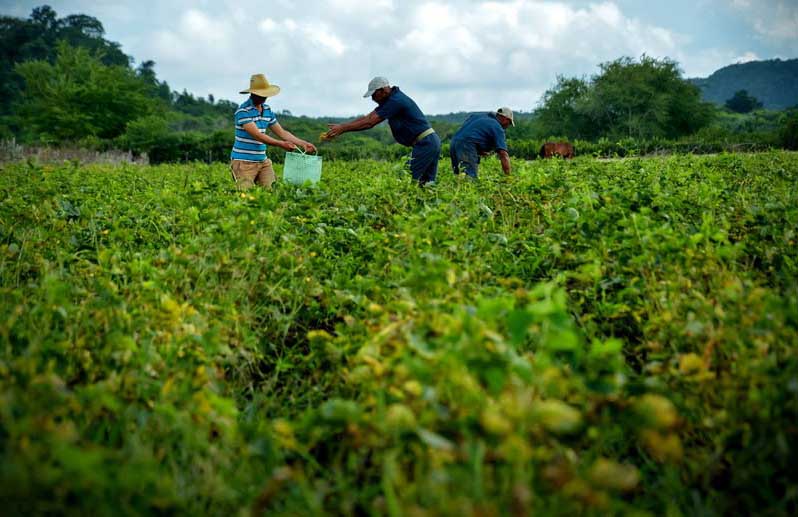 Incrementar la producción de alimentos con un menor impacto ambiental