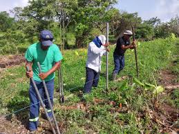 Fomentan hermandad entre investigadores y campesinos