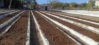 Ponderan obrar agropecuario