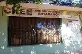 Protegen el medio ambiente en Mayabeque Foto: Radio Camoa