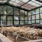 Diversifica sus servicios instituto de Mayabeque