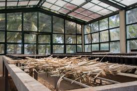 Diversifica sus servicios instituto de Mayabeque. Foto: Radio Camoa