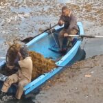 Vinculan protección medioambiental con generación de electricidad en termoeléctrica de Mayabeque (+Galería)