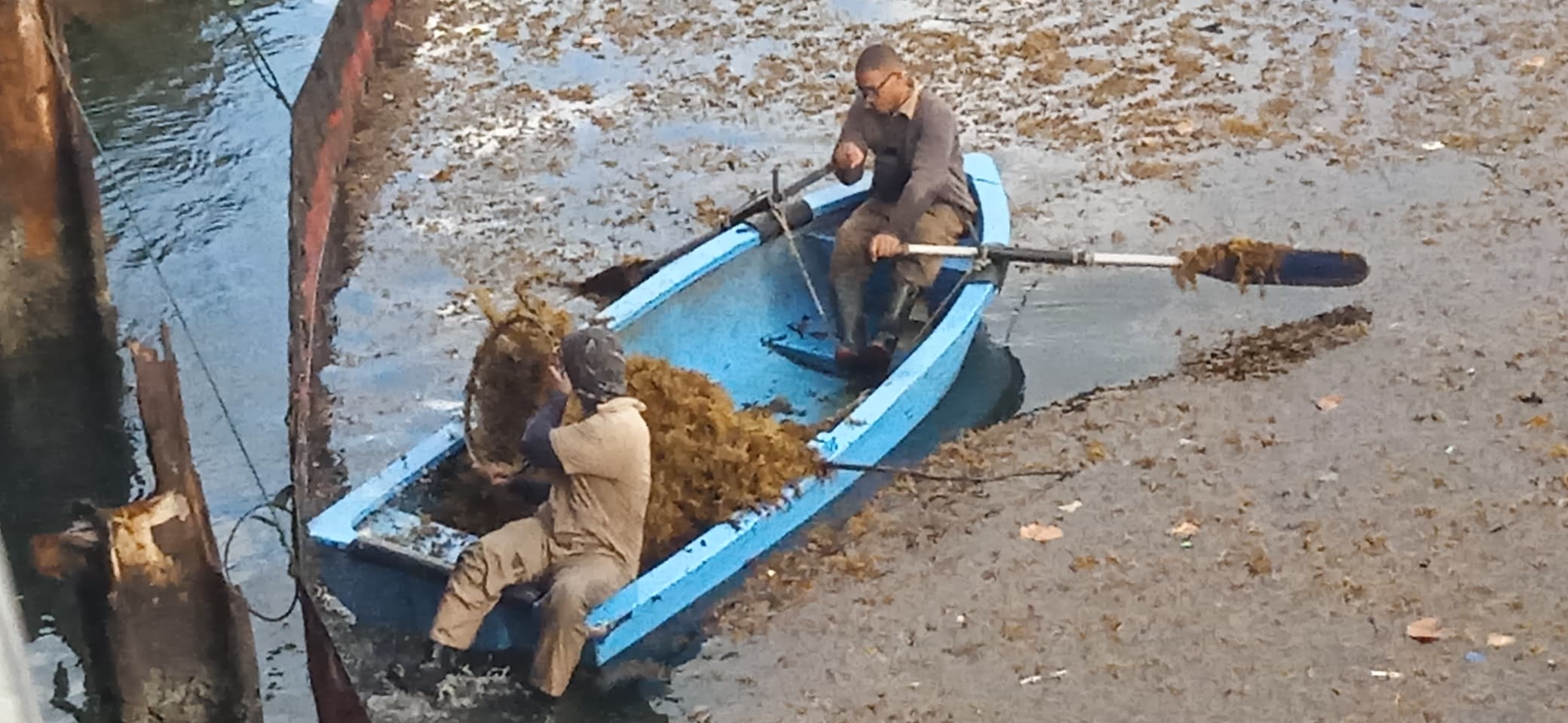Vinculan protección medioambiental con generación de electricidad en termoeléctrica santacruceña