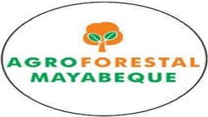 Contribuyen con protecci&oacute;n de la flora y la fauna en Mayabeque. Foto: Archivo