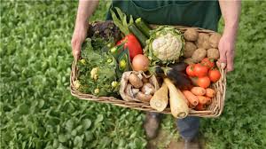 Para fortalecer la producción de alimentos. Foto: Radio Camoa