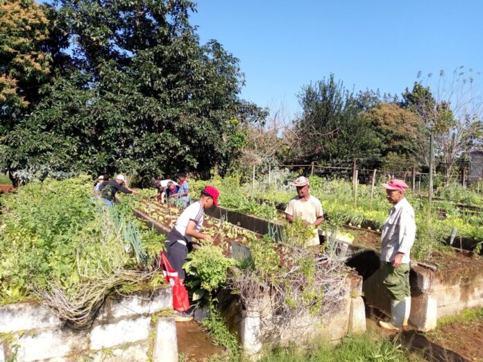 Mantienen vínculo de los pioneros lajeros con el campo
