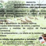 Brindan capacitación y asistencia técnica especialistas del Instituto de Ciencia Animal. Foto: Radio Camoa