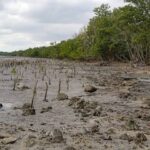 Avivar la esperanza de su gente