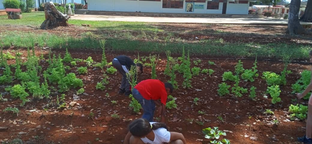 Intensifican programa alimentario en centros educacionales de Batabanó