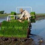 Avanza desde la ciencia  producción sostenible de alimentos