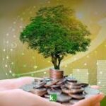 Favorece responsabilidad ciudadana economía local