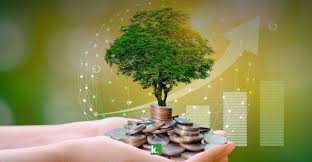 Favorece responsabilidad ciudadana economía local. Foto: Radio Camoa