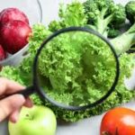 Inocuidad de los alimentos: mayor calidad de vida