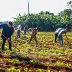Materializan pol&iacute;ticas de desarrollo agrario