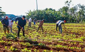 Materializan políticas de desarrollo agrario