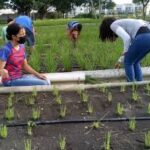 Estudiantes de Jaruco vinculan estudio y trabajo
