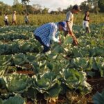 Una jornada para crecer juntos