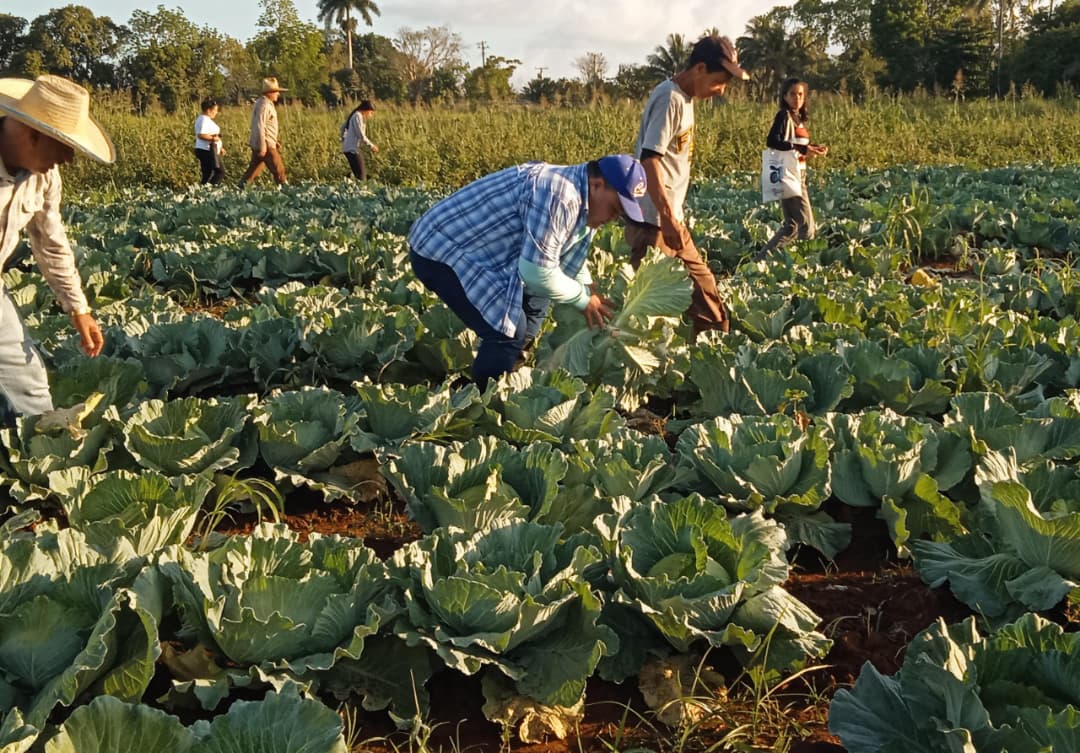Una jornada para crecer juntos